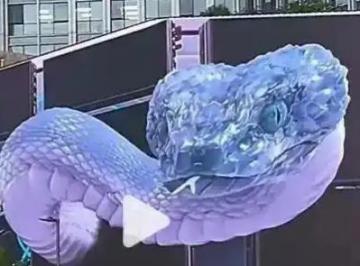 成都巨型3D蛇广告因争议被撤下