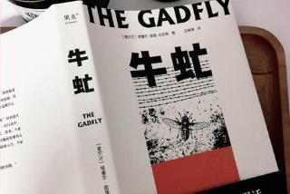 牛虻这本书主要讲了什么内容？