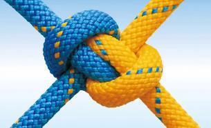 团队凝聚力的经典句子（精选24句）