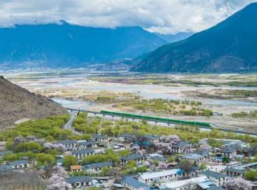 格桑花开映山河 有关格桑花开的经典一句短句