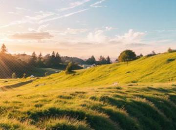 说出心声的经典句子(精选24句)