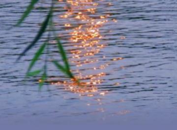 形容话说到心坎里了的经典句子（精选22句）