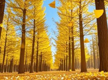 描写秋天的短句句子（精选21句）