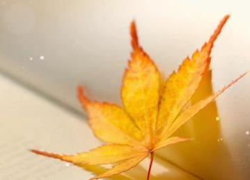 品味人生的经典句子（句句精选26句）