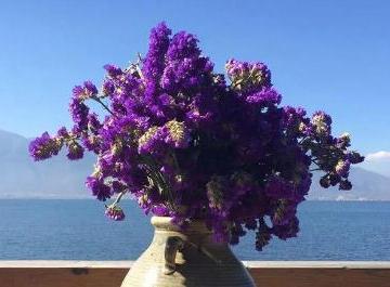 说透人生的经典句子（精选26句）