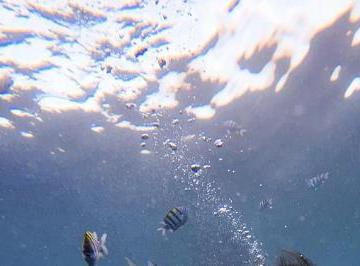 人生体验最经典的句子（精选26句）