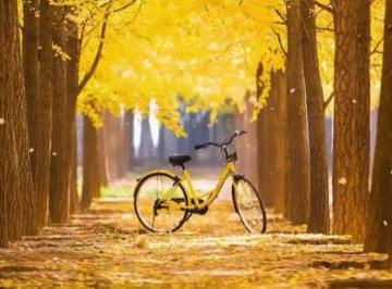 入秋了最走心的句子简短句子（精选27句）