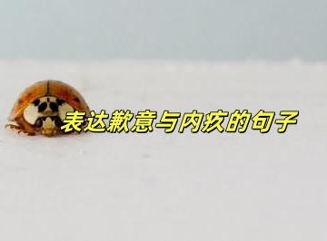 表达歉意与内疚的句子简短（精选23句）