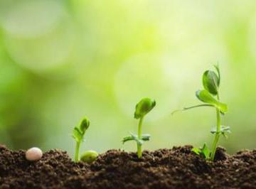 成长正能量的句子经典语句（精选22句）