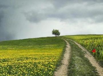 描写走得更远的经典句子（精选26句）