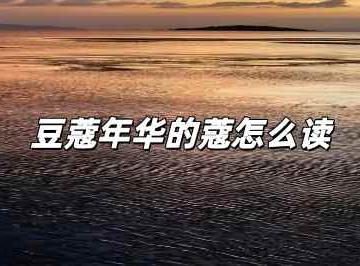 豆蔻年华的蔻怎么读？