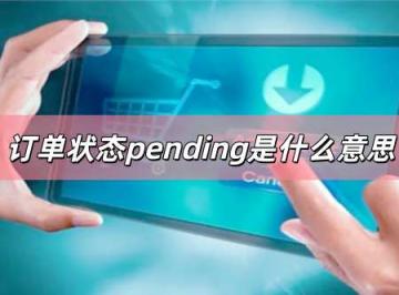 订单状态pending是什么意思？