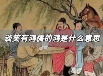 谈笑有鸿儒的鸿是什么意思？