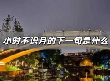 小时不识月的下一句是什么？