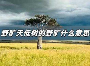 野旷天低树的野旷什么意思及出处？