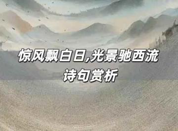 惊风飘白日,光景驰西流 诗句赏析